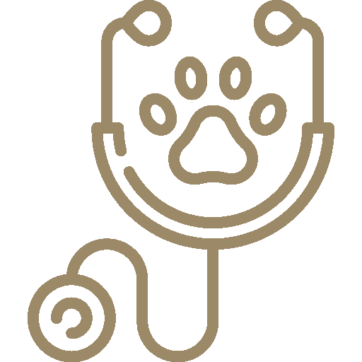 stethoscope